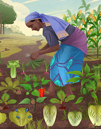 woman working in a garden